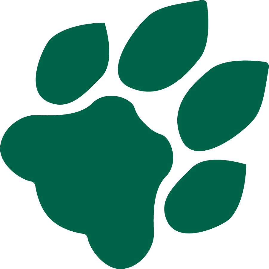 Ohio Bobcats 1978-1996 Primary Logo diy DTF decal sticker